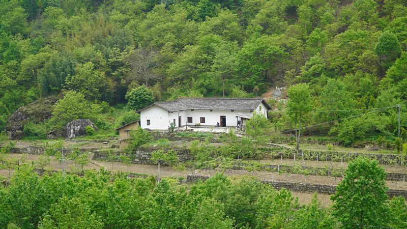 原创住农家山庄,吃美味土珍,佛坪沙窝村印象
