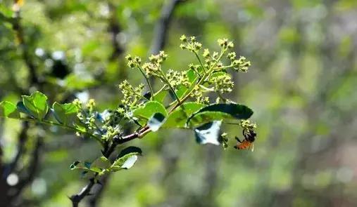 走进济南章丘水龙洞 游山水美景 看古村新貌！