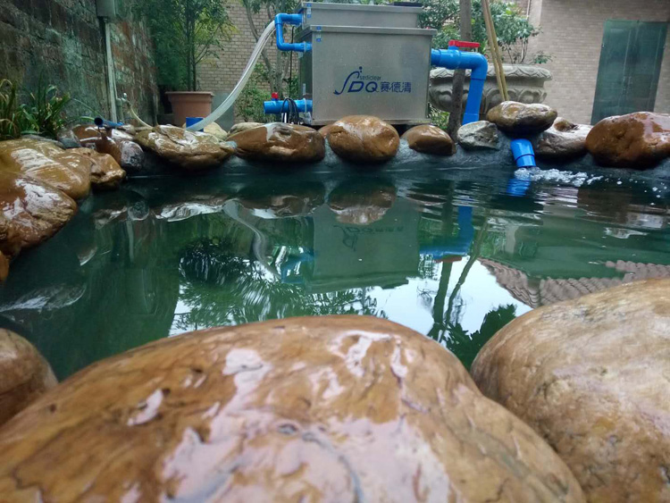 怎么养鱼水不浑 82c355dc96594c26a17b6c5d9458be34.jpeg