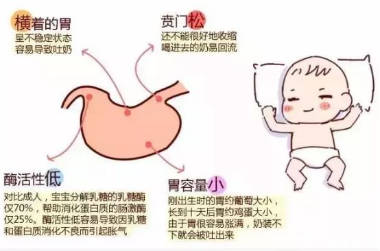                     一个宝妈的自述：我的宝贝是“自动吐奶机”