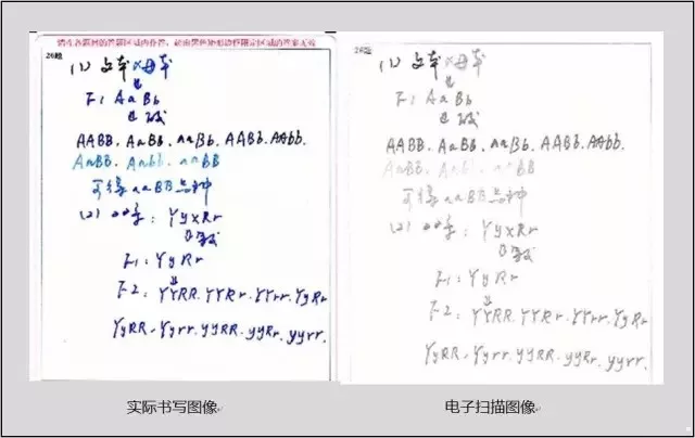
高考什么字体更抓分？什么卷面错误不能犯？不注意可能整题没分！


