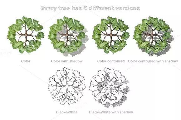 【专属】平面图差点意思,那到底是差什么呢?_植物