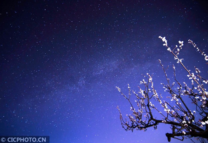 花语星空 黄色视频网站