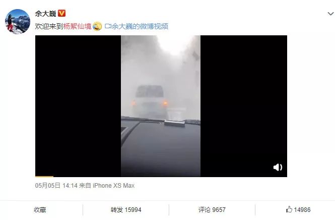 烦人的杨柳絮上热搜！北京为何偏要种杨柳树？