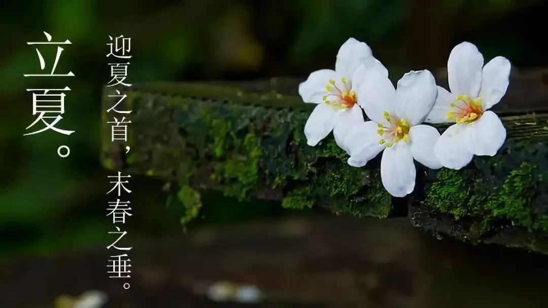 a81bb62f03c146ecbbdf387a1ff24738.jpeg