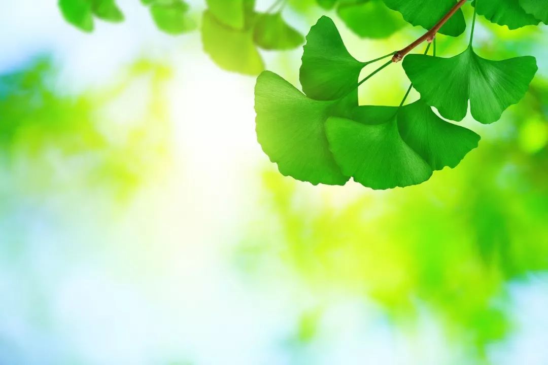 什么叫立夏节气 acd3dee114394b1ca81b94de53888a82.jpeg