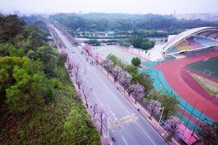 盘点广东网红大学!下一个校园网红就是你!
盘点广东网红大学!下一个校园网红就是你!