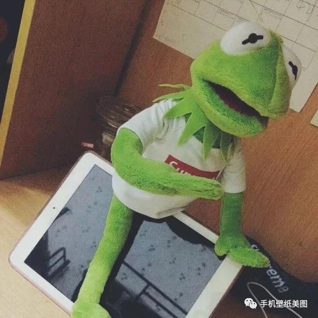 青蛙头像,最近很火的头像