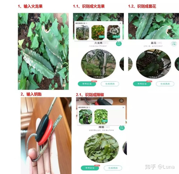 
AI产品分析（四）：形色“拍照识花”功能解析


