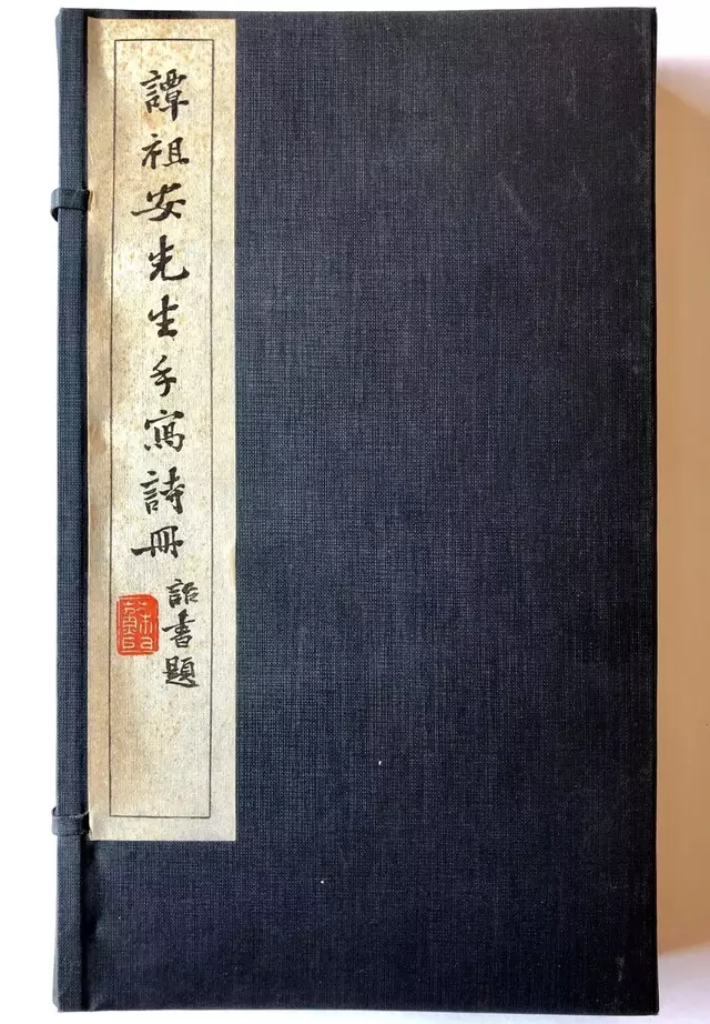 他曾任国民政府主席,一生专注一本字帖 坚持用毛笔写日记_谭延闿