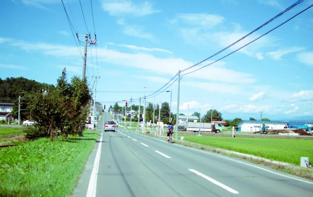 立夏,时光匆匆而来!万木并秀,生生不息!