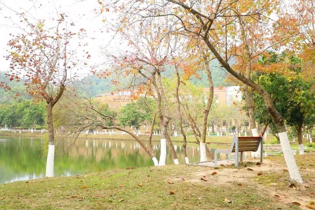 盘点广东网红大学!下一个校园网红就是你!
盘点广东网红大学!下一个校园网红就是你!