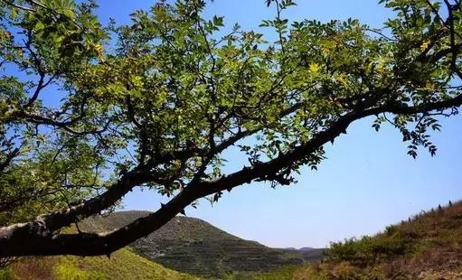 走进济南章丘水龙洞 游山水美景 看古村新貌！