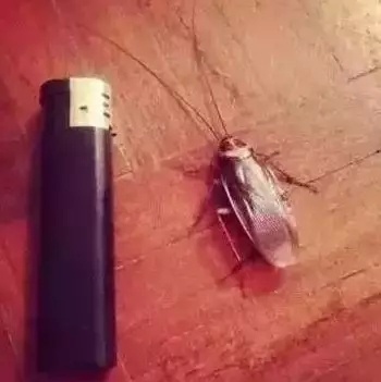 
南方人不喜欢去北方读书的理由，中3条的举手！


