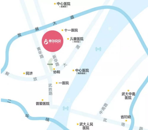                     武汉首发 两强机构联合奉上贴心服务 呵护新生儿脆弱关键期 家长不再手足无措