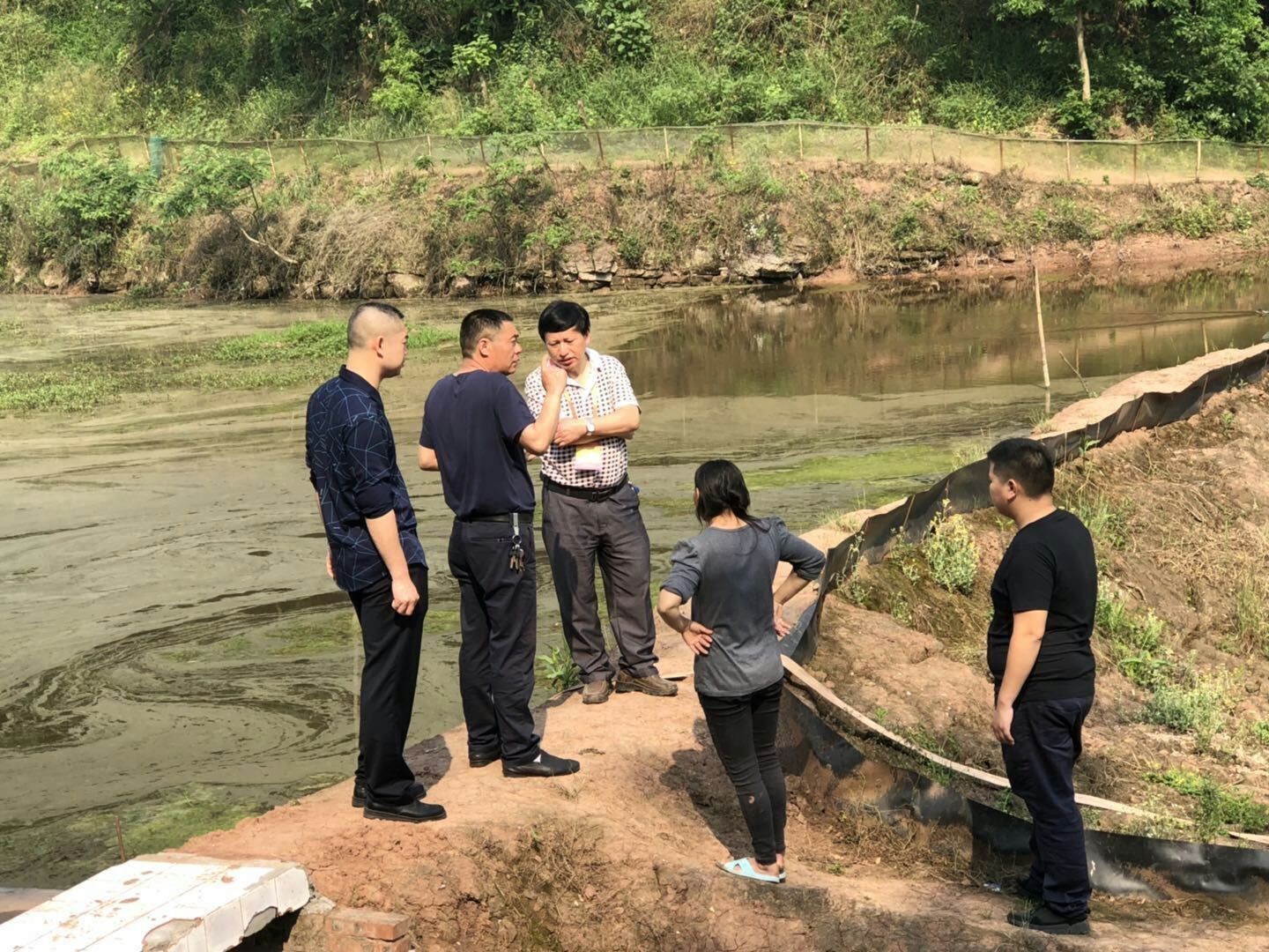 沿滩:农民工党建引领乡村振兴 久久6热视频在线观看