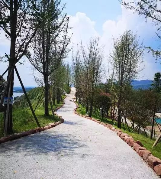 重大项目推进快报 | "东进之窗"三岔湖马鞍山观景台已完工