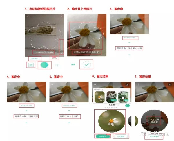 
AI产品分析（四）：形色“拍照识花”功能解析


