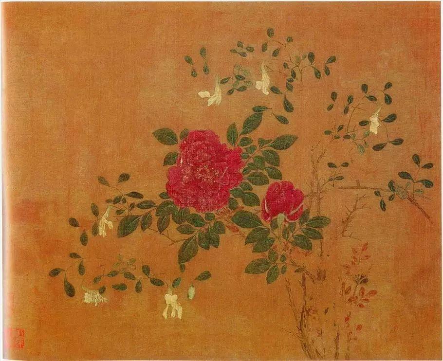 中国人大爱的月季花，藏着你不知道的秘密