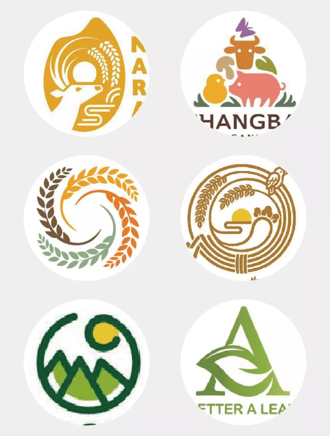 如何3步做出农产品logo并让一般人觉得吃不起