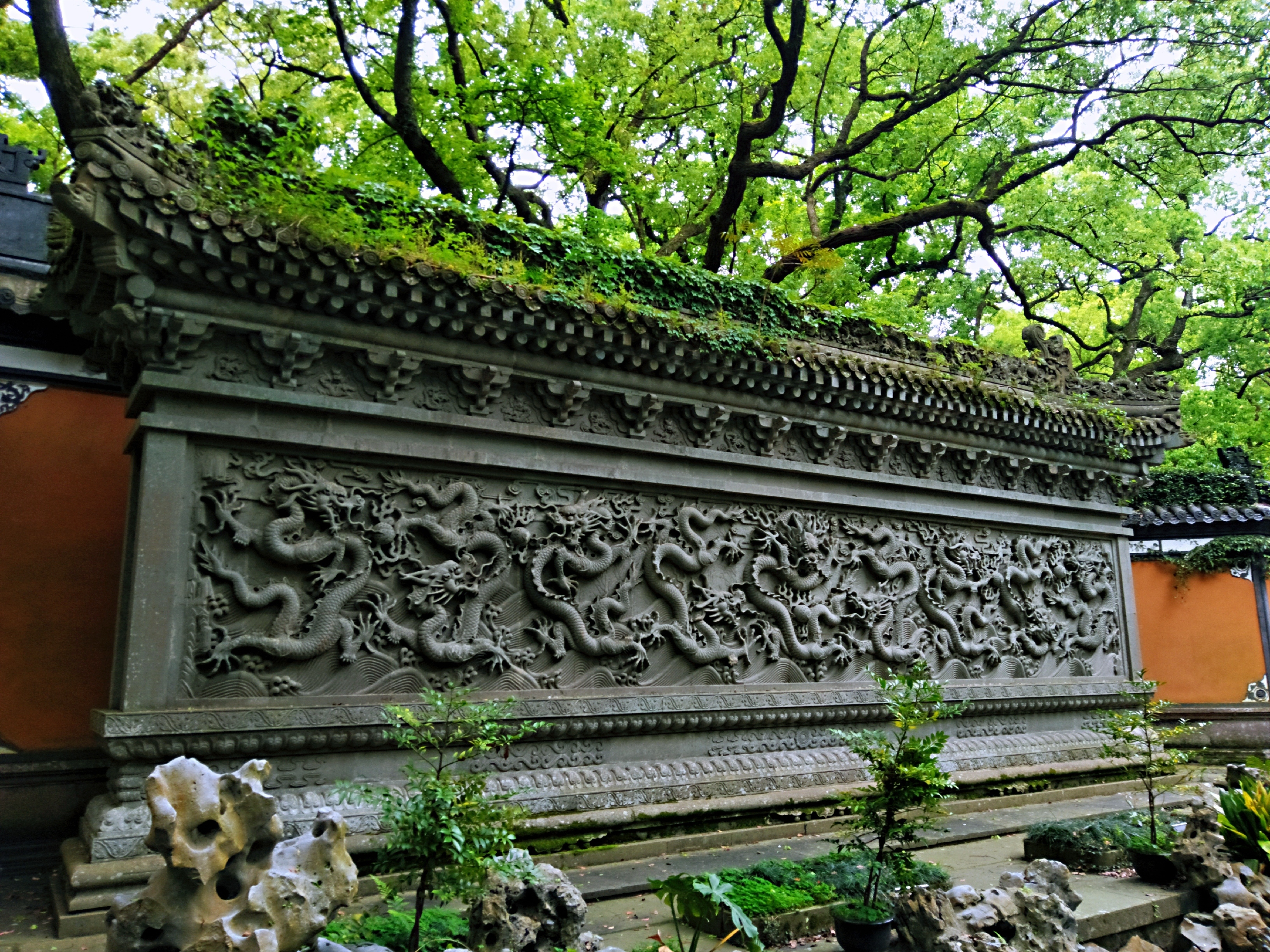 同沾法雨共沐佛恩登临普陀山法雨寺观春色树婆娑钟声浪答回