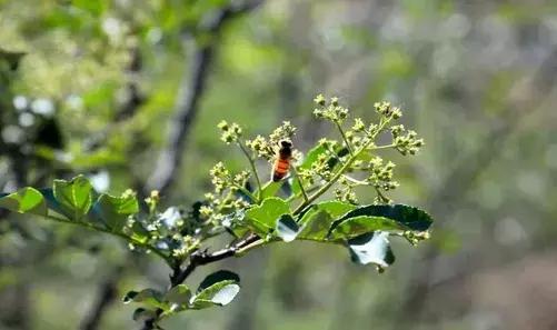 走进济南章丘水龙洞 游山水美景 看古村新貌！