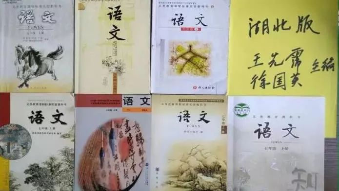 成语文什么书_语文书
