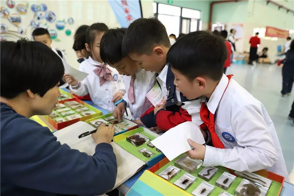 行知小学招收流动人口_行知小学(3)