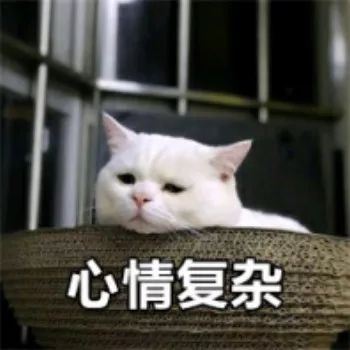 愁!花大价钱买的“学区房”,十几年来学校连个影都没有
愁!花大价钱买的“学区房”,十几年来学校连个影都没有