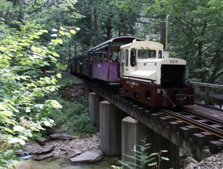 日本10大軌道列車——一場絕景震撼之旅 旅遊 第9張