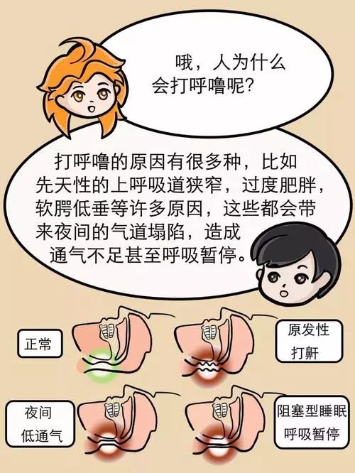 成语鼾什么雷_鼾鼻是什么动物图片(3)