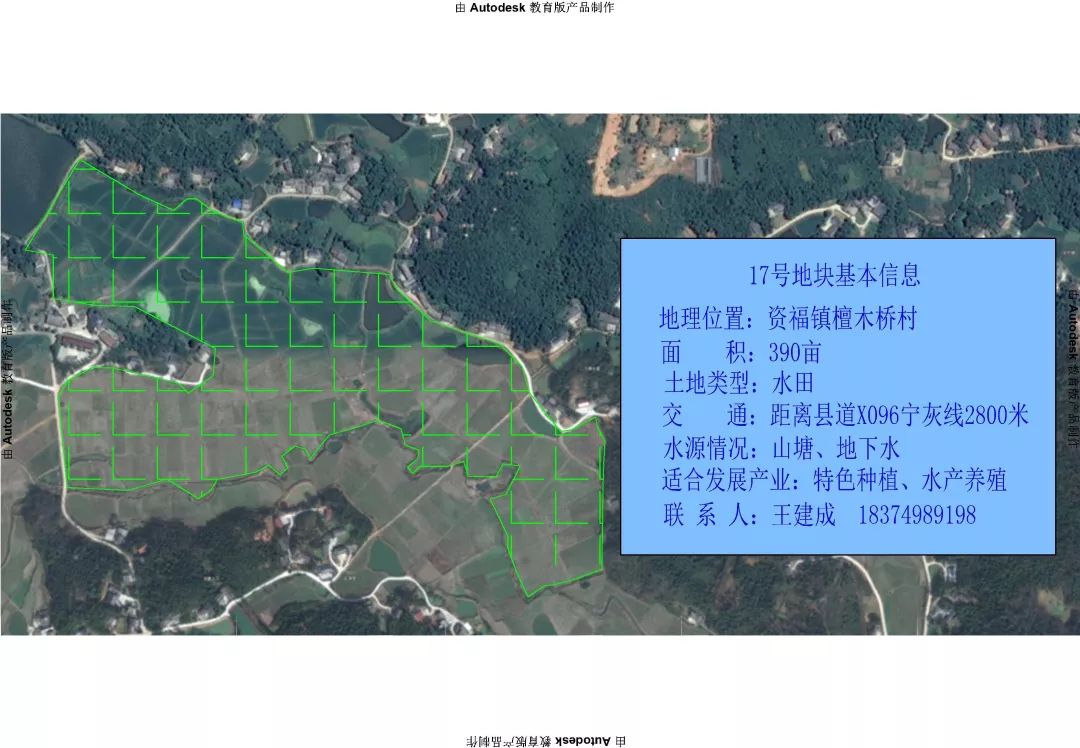 资福镇人口_人口普查