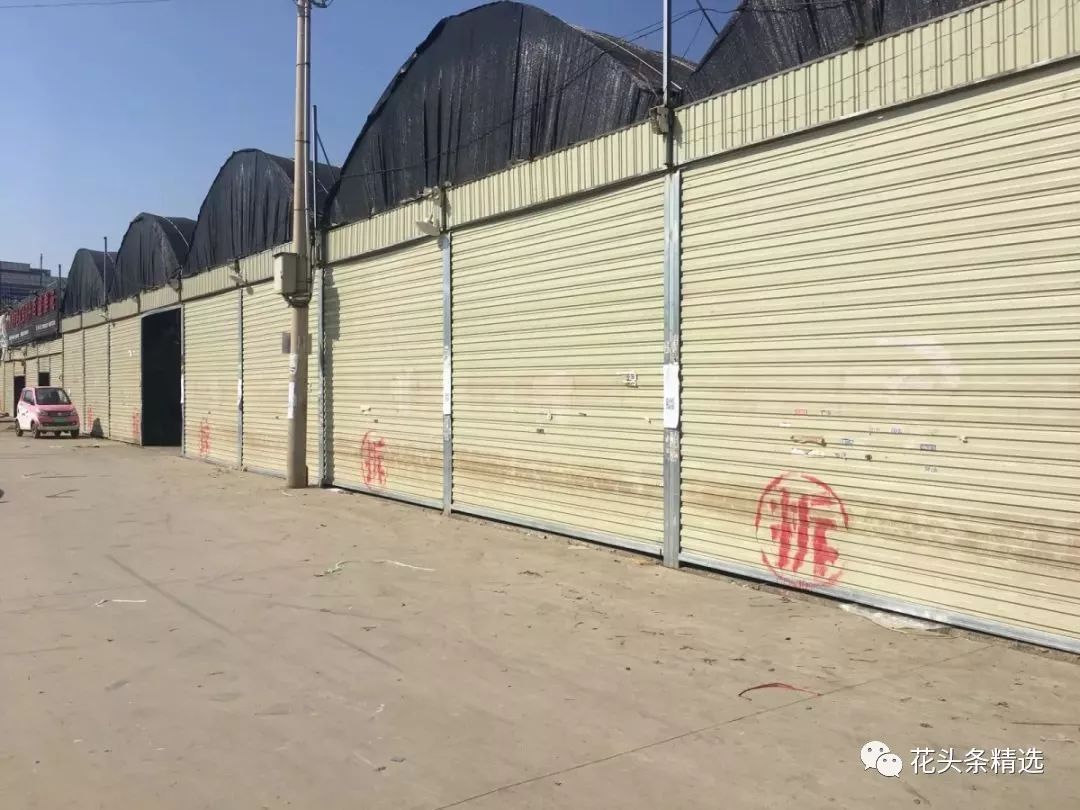 覆巢之下无完卵猜一成语_木猜一成语疯狂看图(2)