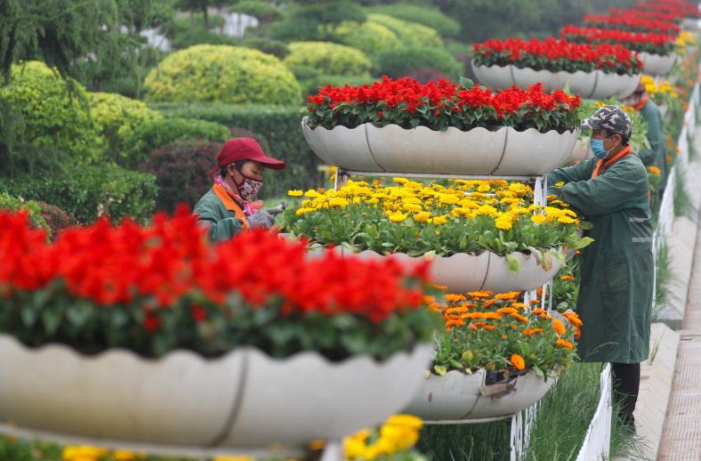 【一早报】春暖花开正好时丨停气通知丨22万余株草花扮靓古城丨交通