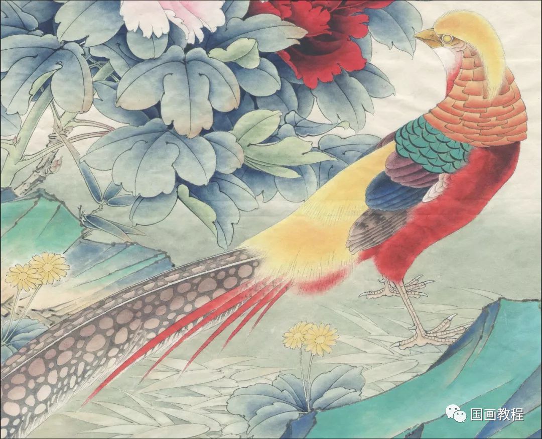 国画教程红腹锦鸡设色技法