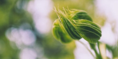 
原创
带省名就高大上？这九所才是最名副其实的省份大学！


