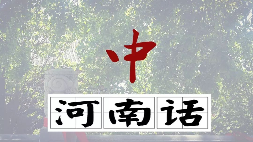 因为信阳人根本不会说河南话,河南其他地区的人大都也听不懂信阳话