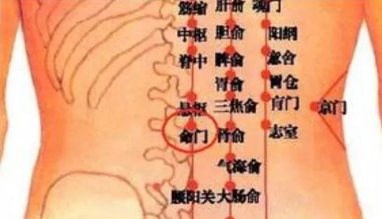 贴肚脐治痔疮的原理是什么_女士痔疮是长什么样子(2)