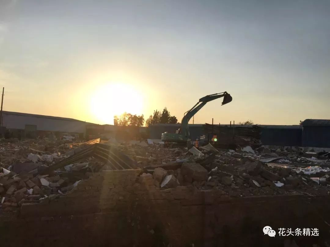 覆巢之下无完卵猜一成语_木猜一成语疯狂看图