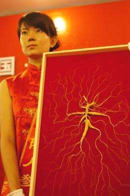参龄325年重68.8克的野山,拍出千万高价,野山参否值得收藏? 美美女免费高清毛片视频