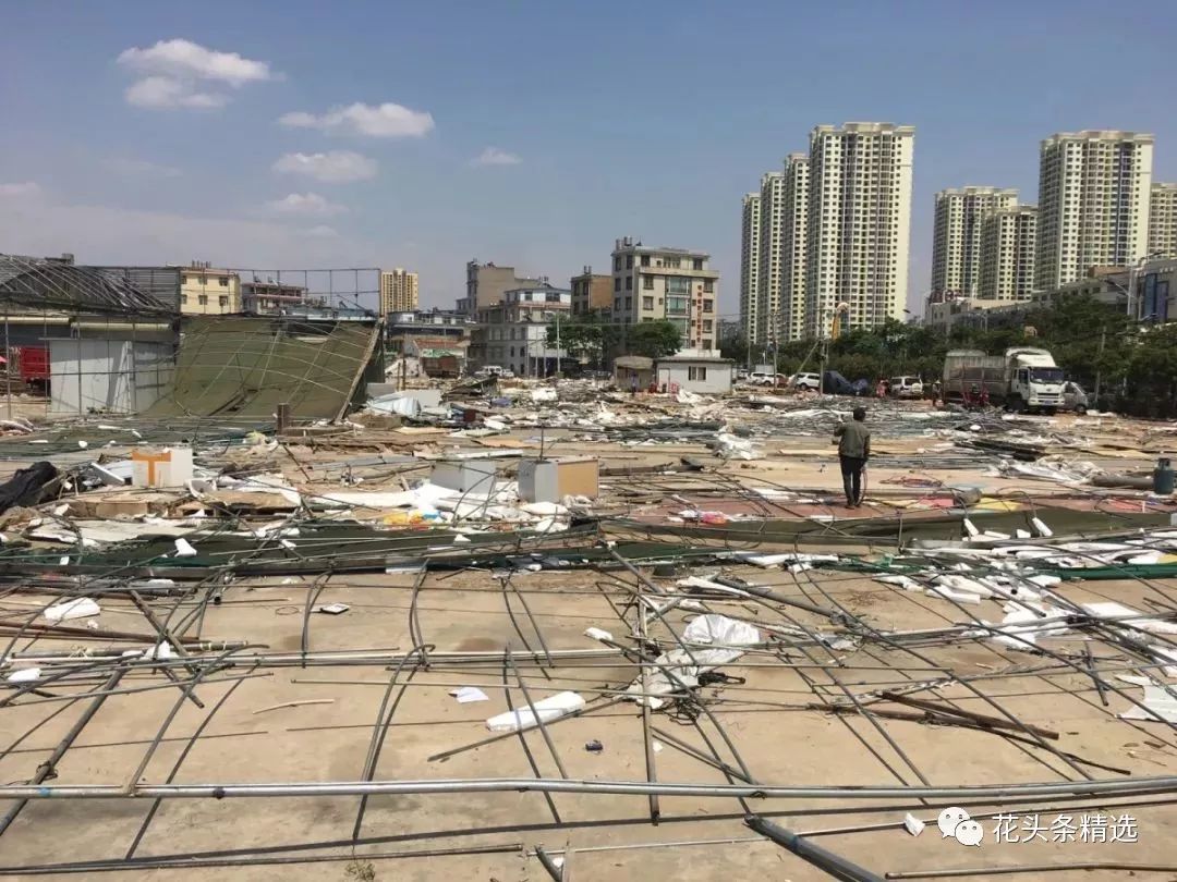 覆巢之下无完卵猜一成语_木猜一成语疯狂看图