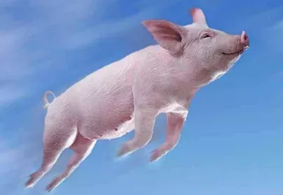 
原创
为何同样的背景出身，有的人就是混得比其他人好，关键就在这3年


