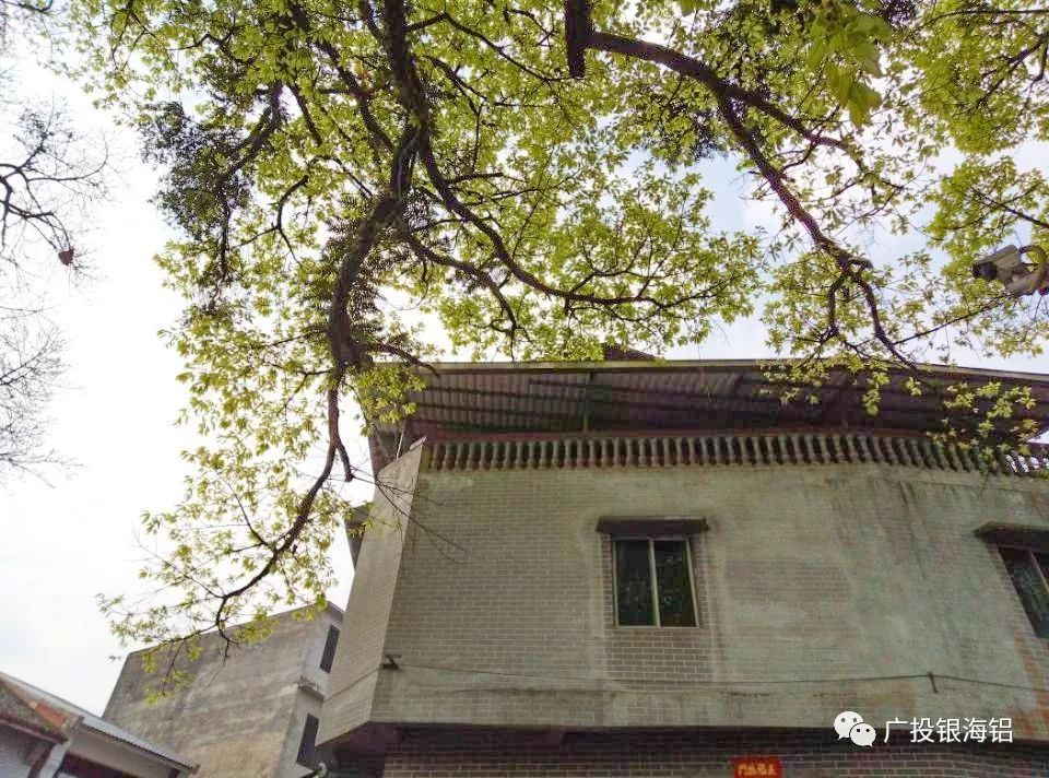 鹿寨雒容镇GDP_鹿寨县鹿寨镇辖区地图(3)