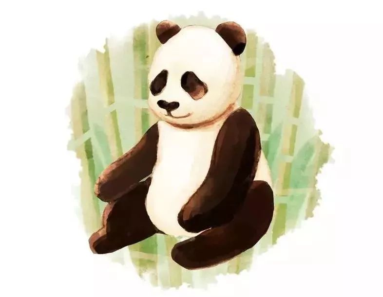萌萌哒"熊猫" 绝对萌翻你的眼球 萌化你的心 是不是有点小激动呢?