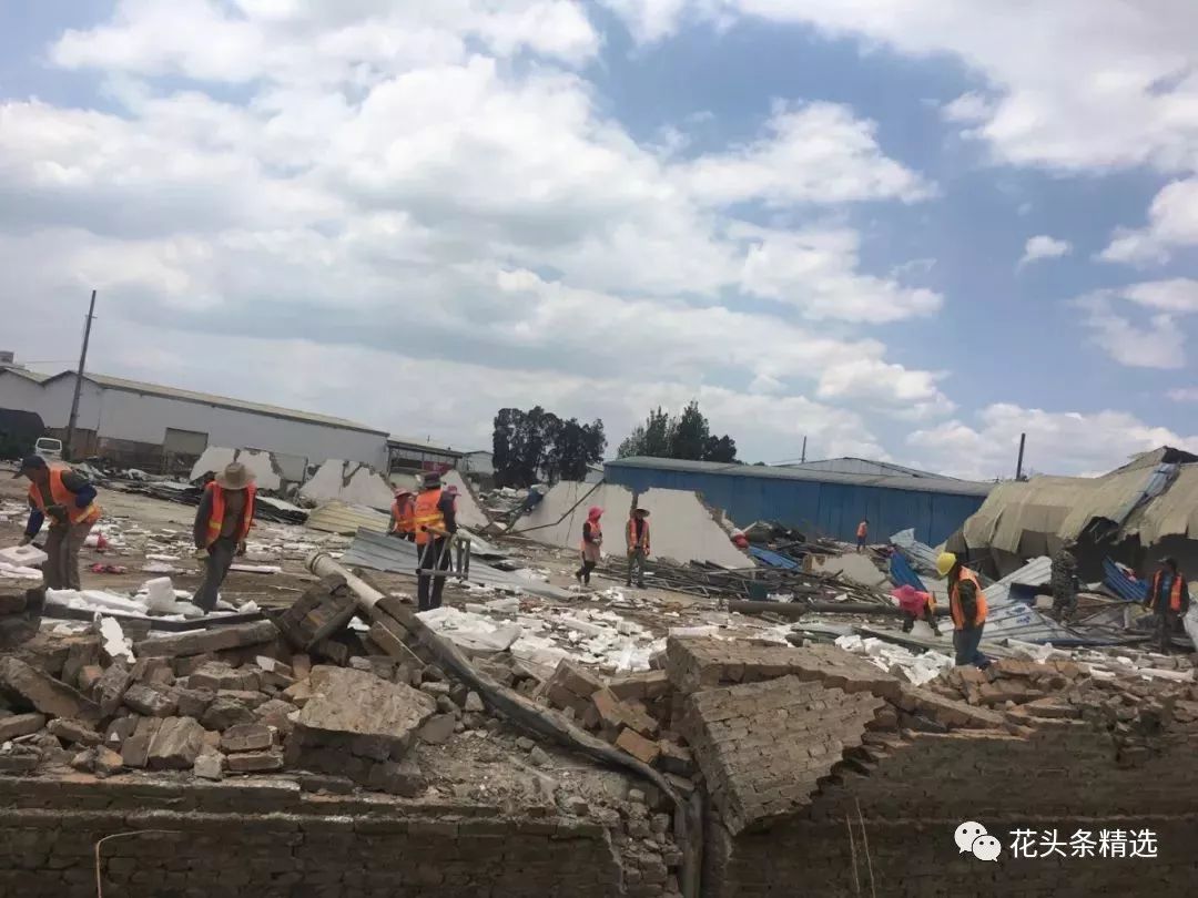 覆巢之下无完卵猜一成语_木猜一成语疯狂看图(2)