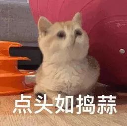 愁!花大价钱买的“学区房”,十几年来学校连个影都没有
愁!花大价钱买的“学区房”,十几年来学校连个影都没有
