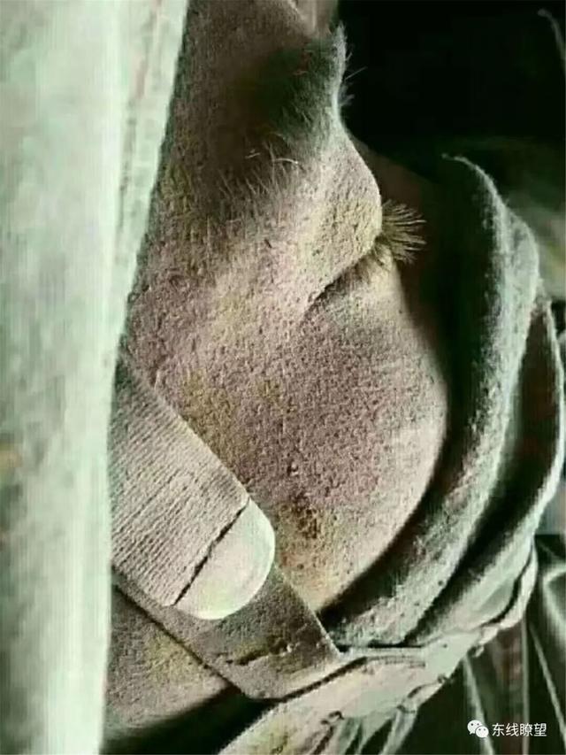 
不服来辩！中国军人才是最优质的偶像


