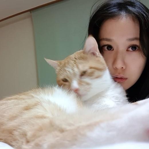 韩国女艺人张娜拉sns发与宠物猫合影秀完美童颜