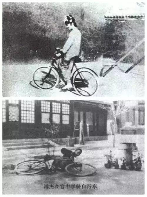 溥仪骑车撞倒老太太，刚想上前道歉，不料老太太说出了这样的话