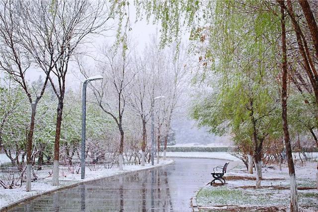 赤峰也太有雪杏了上周一秒入夏这周一秒入冬这场雪惊艳了赤峰的四月